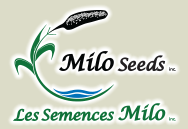 Milo-Seeds